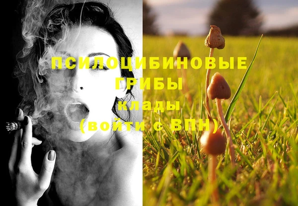 синтетический гашиш Белокуриха