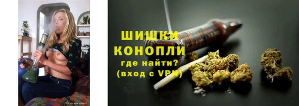 крисы Белоозёрский