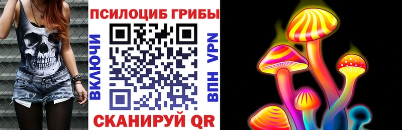 Псилоцибиновые грибы ЛСД  наркота  Всеволожск 